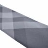 CRAVATE BURB GRIS 1