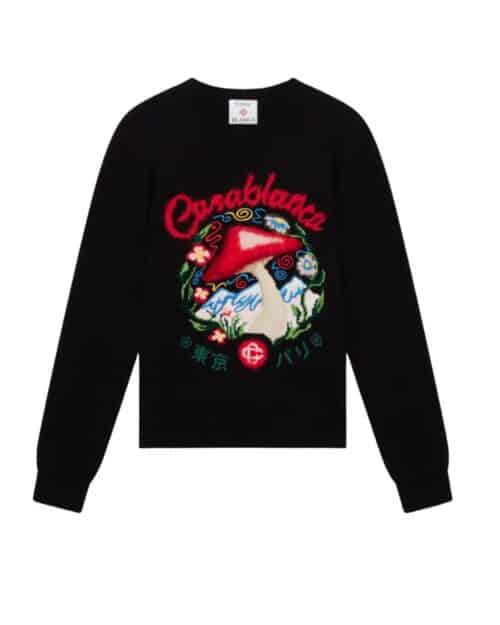 Pull Brodé Champignon Coton Noir