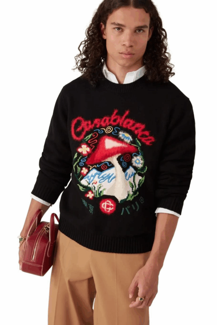 Pull Brodé Champignon Coton Noir