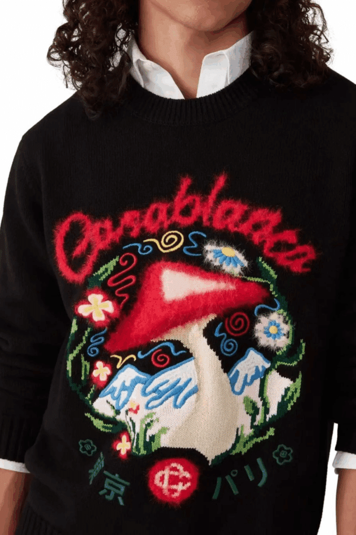 Pull Brodé Champignon Coton Noir