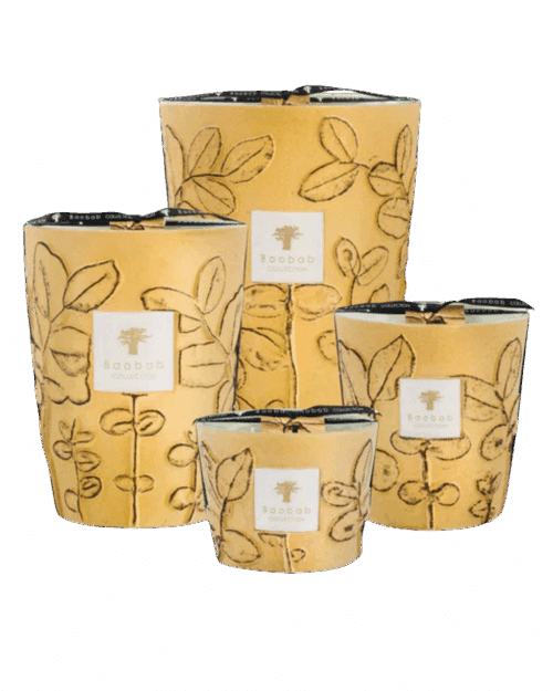 bougies Folia Garrigue