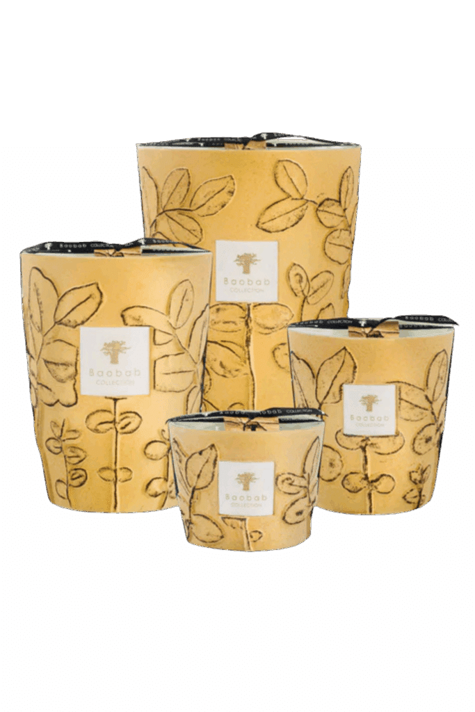 bougies Folia Garrigue